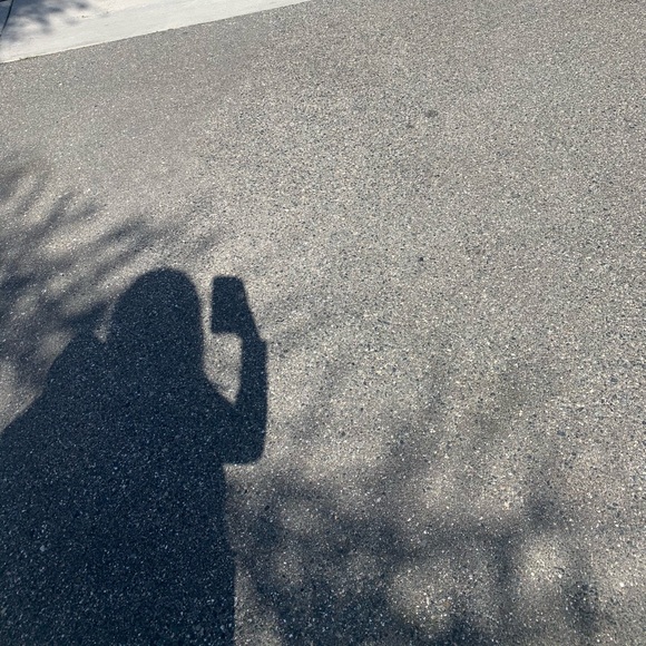 Meet your Posher, Jesse - Picture 1 of 1